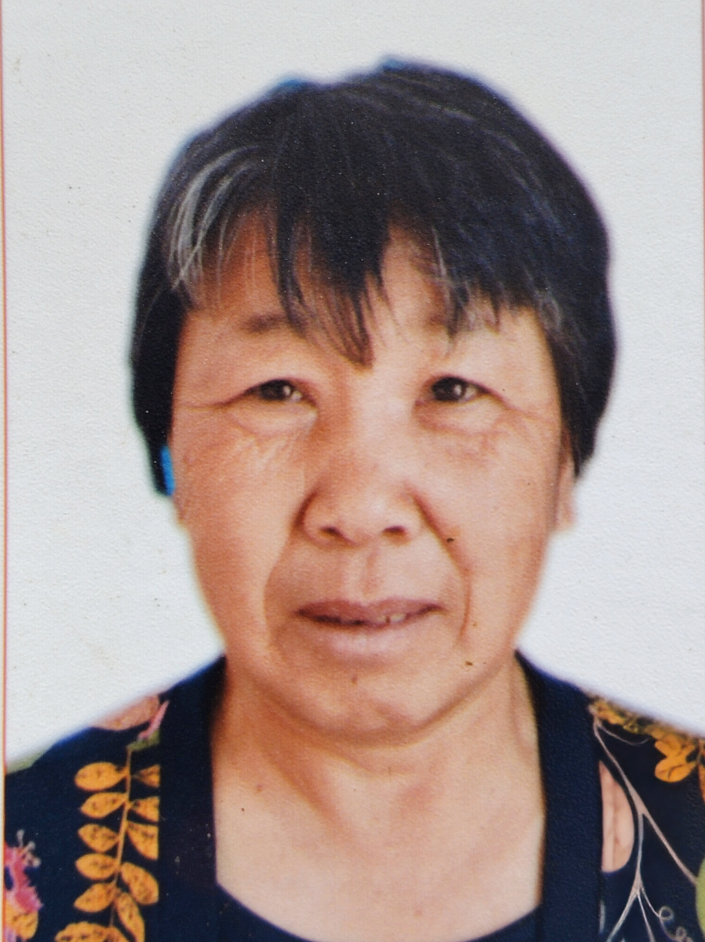 龙桂芹