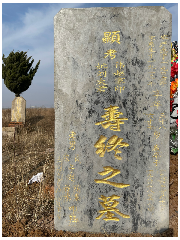 赵甲印
