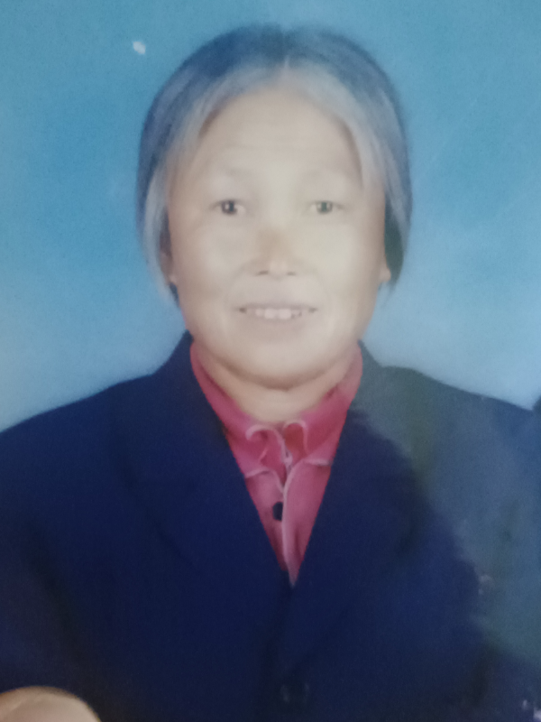 闰春叶