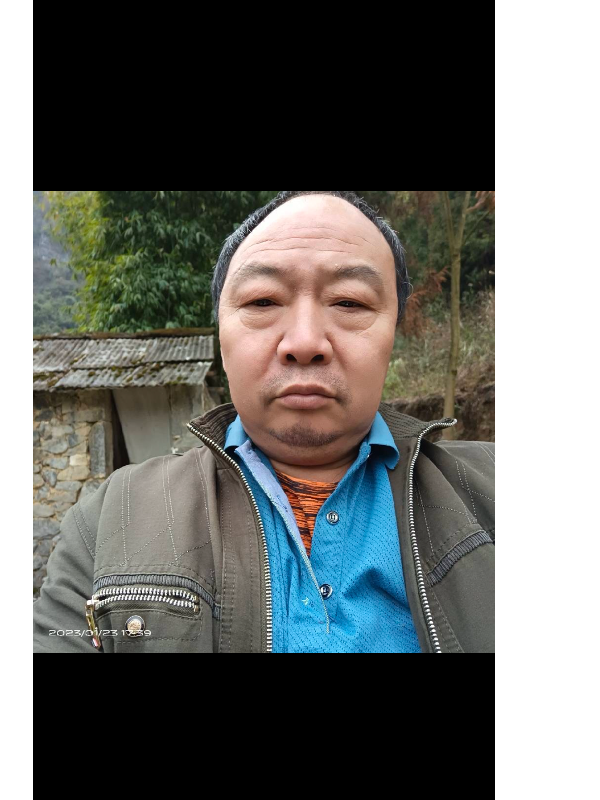 何应科