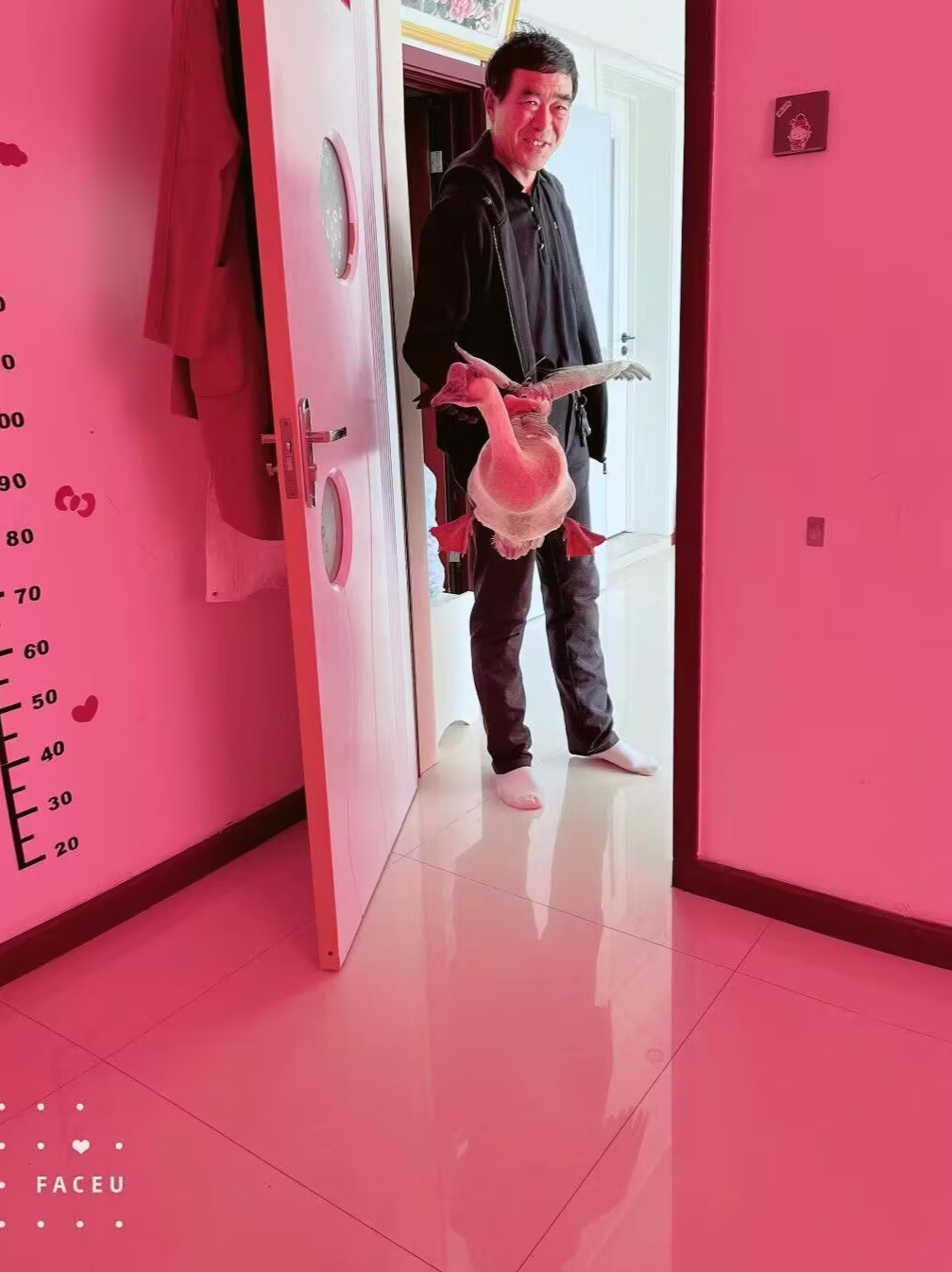 我的爸爸
