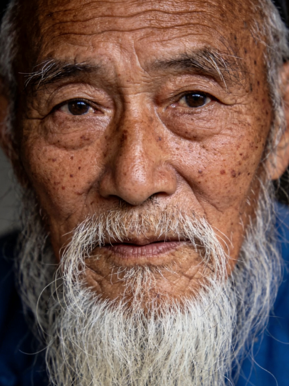 杨志平