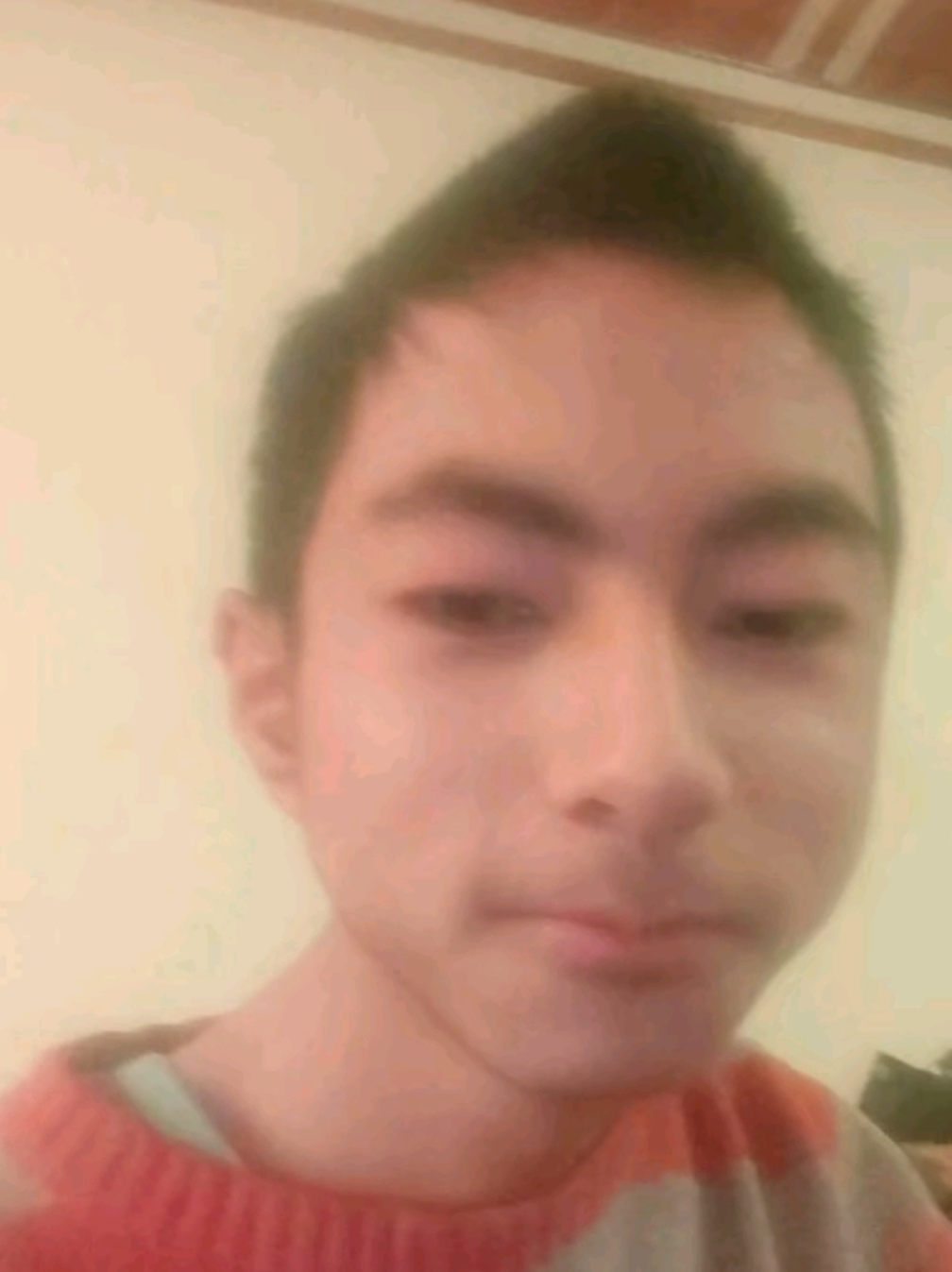 刘晨乐