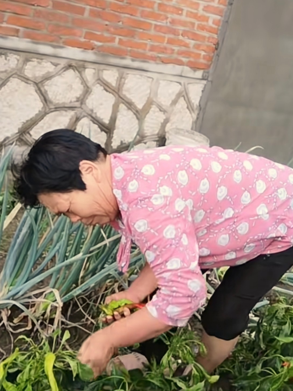 李德花