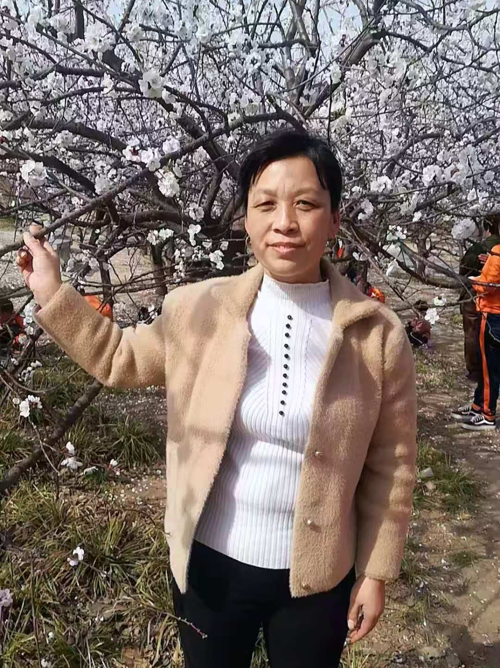 司风琴