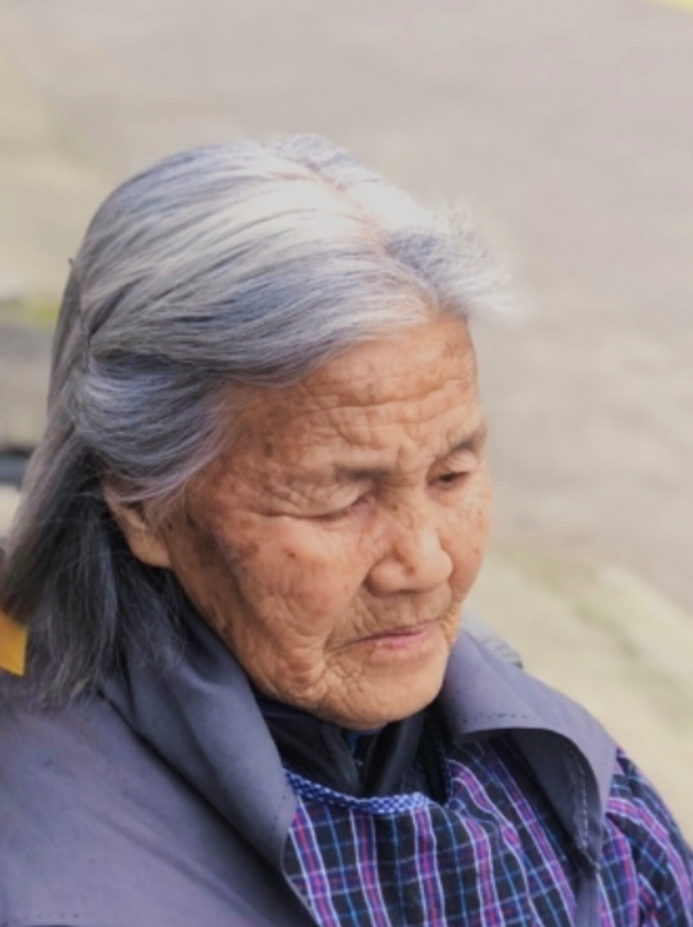 周子叶