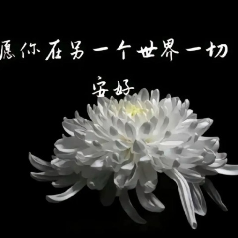 妈妈，等我离开这个世界，请您来接我。