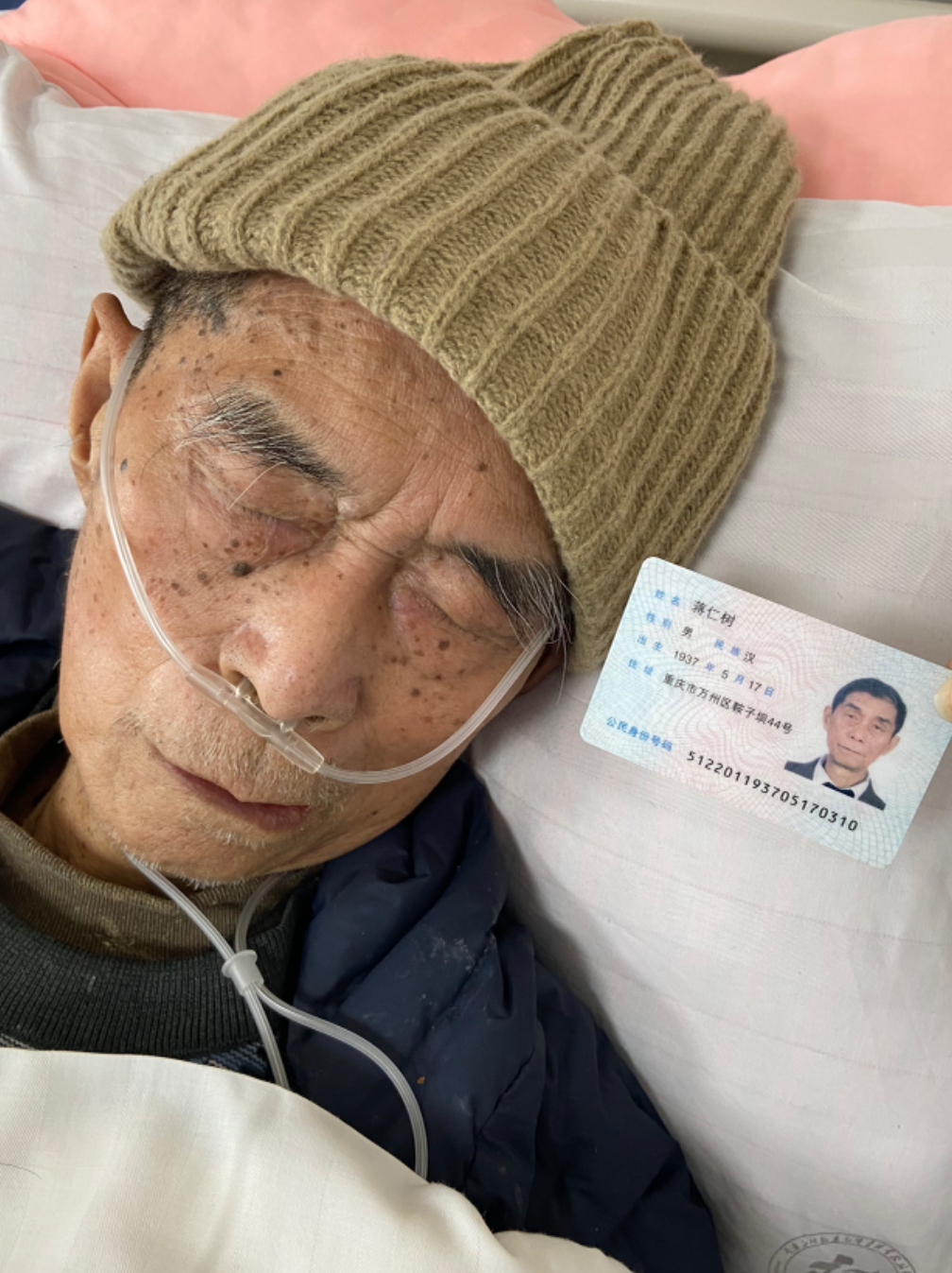蒋仁树