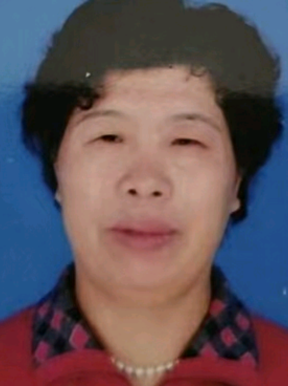 陈志梅